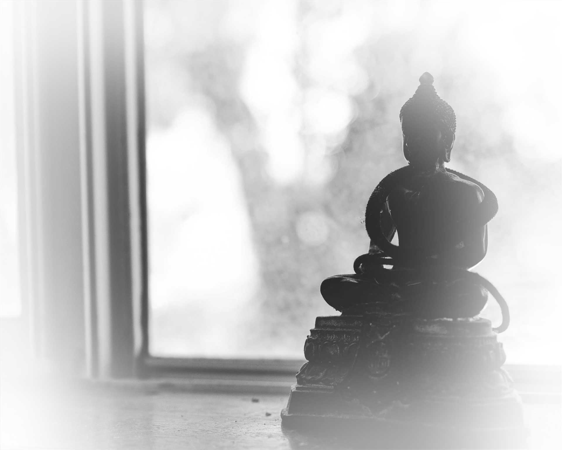 A Buddha statue silhouetted against a softly lit window